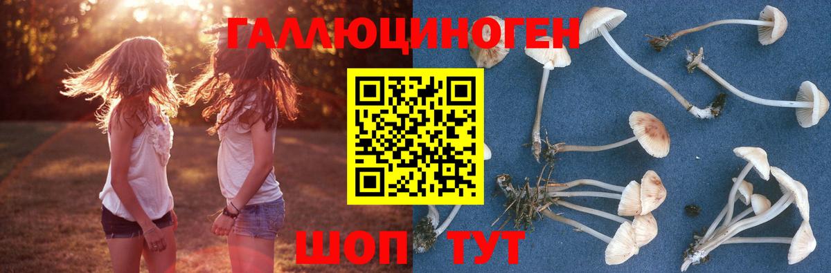 Галлюциногенные грибы прущие грибы Ейск